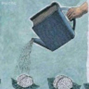 Meet your Posher, Diana